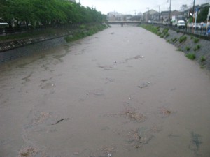 大雨