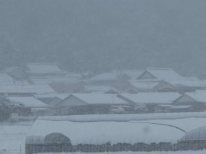 G寺の掲示板