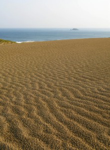 鳥取砂丘　らしい写真