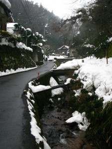 鳥取からぼやき川柳・2012.02.19