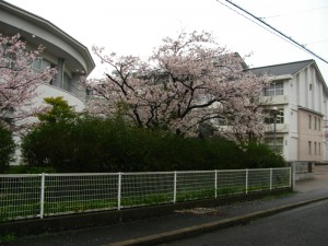 G寺の掲示板