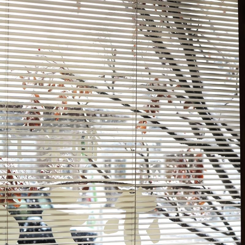 そして、２月になった。