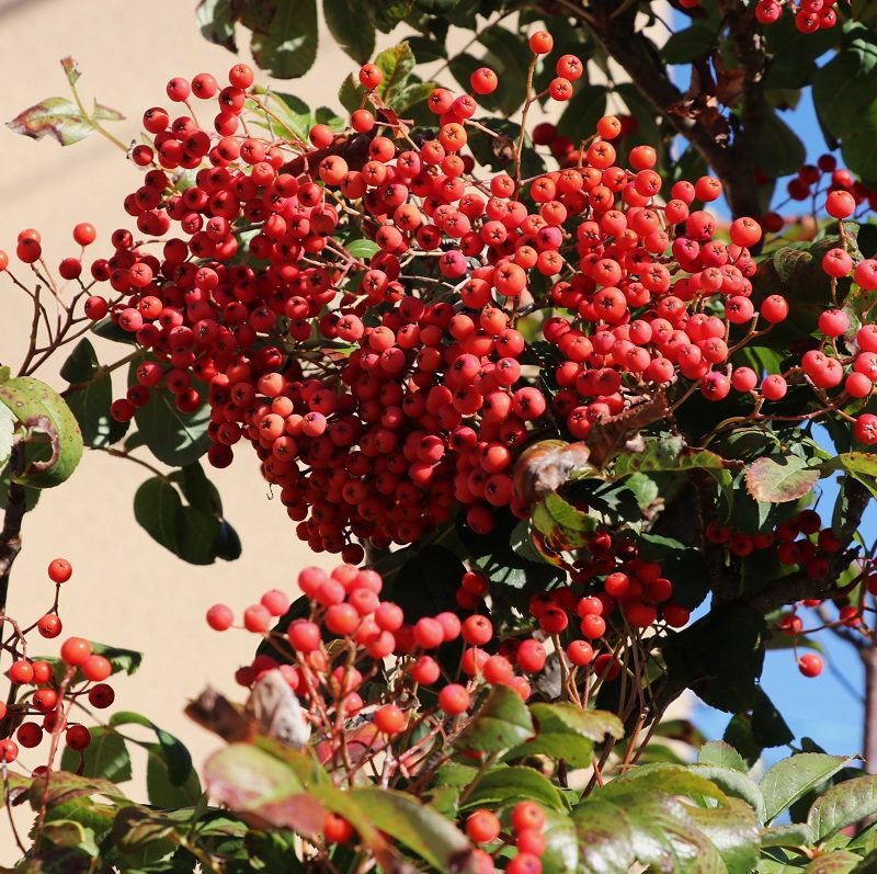 予想できぬことはあるものだ。