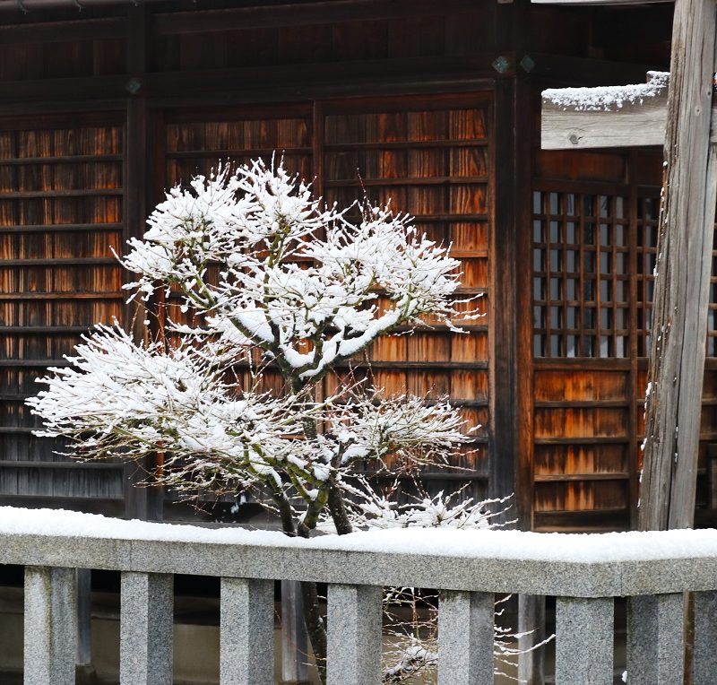 薬というもの。