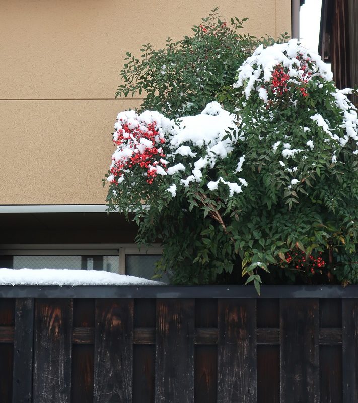 休みはいいなぁ。