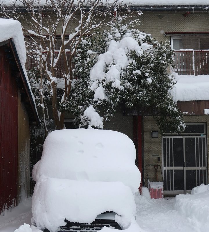 いやぁ、駄目だった。歳とったで。