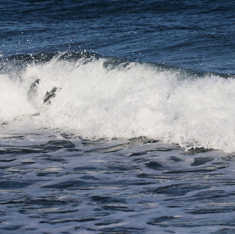 忙しいときに後輩が。